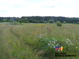 Działka budowlana z warunkami zabudowy Łagówek